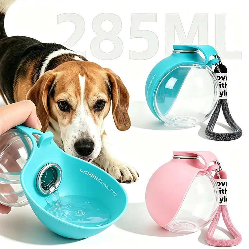 Gourde de Voyage pour Chien 285ML Anti-Fuite – Bol Silicone et Dragonne Pratique