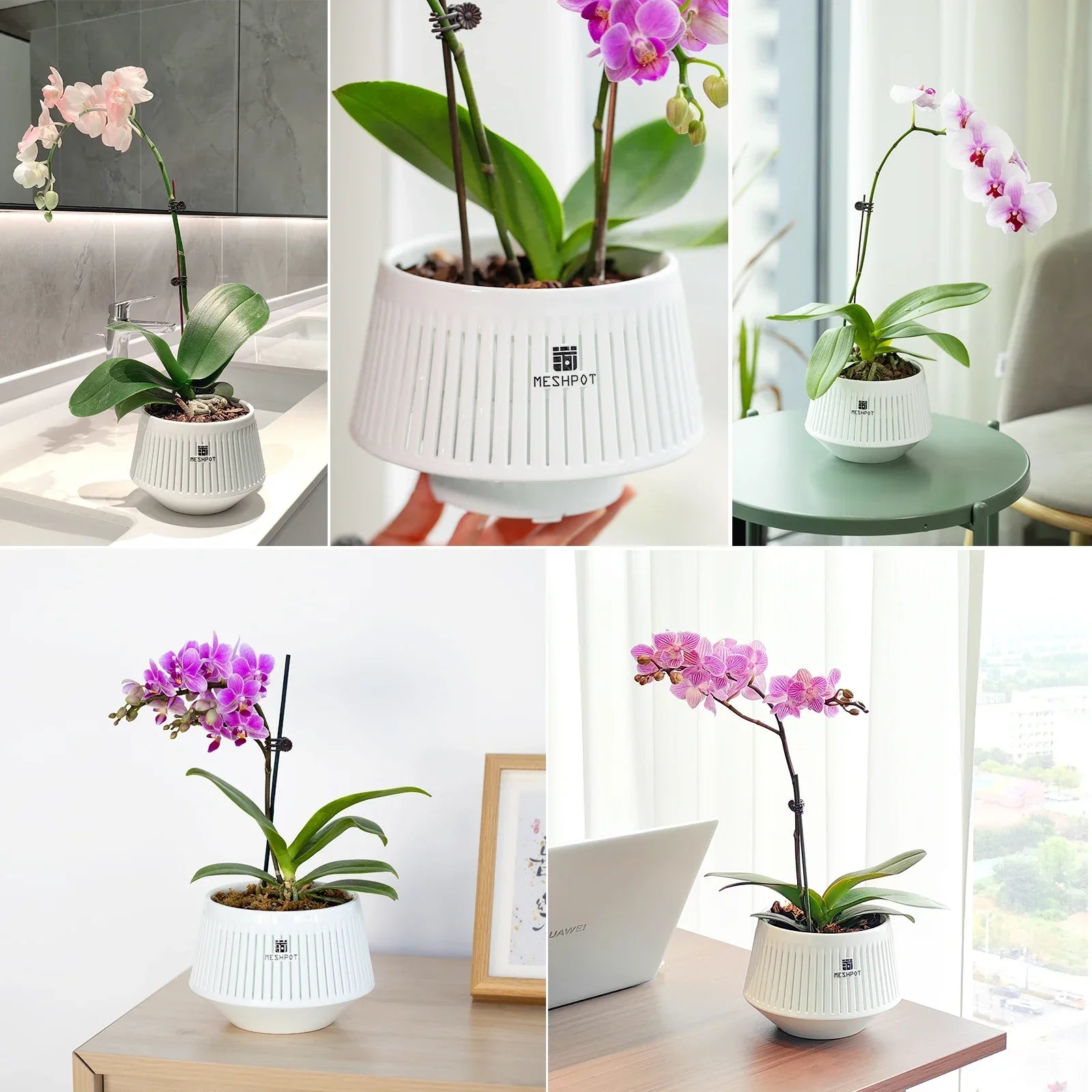 Pot Spécial Orchidée - 360° de Ventilation