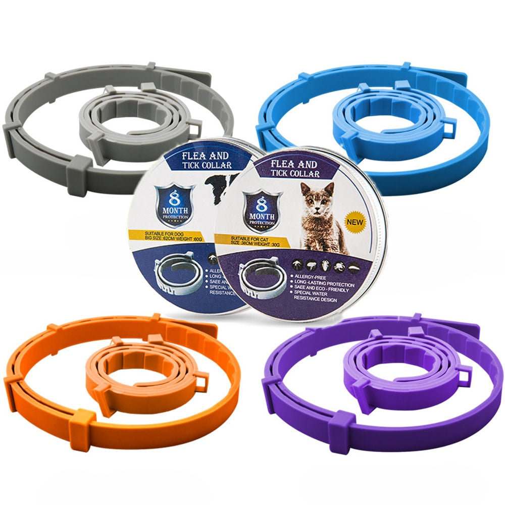 PROTECT + : Collier anti-parasites pour chiens et chats