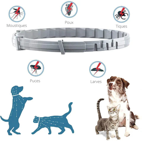 PROTECT + : Collier anti-parasites pour chiens et chats