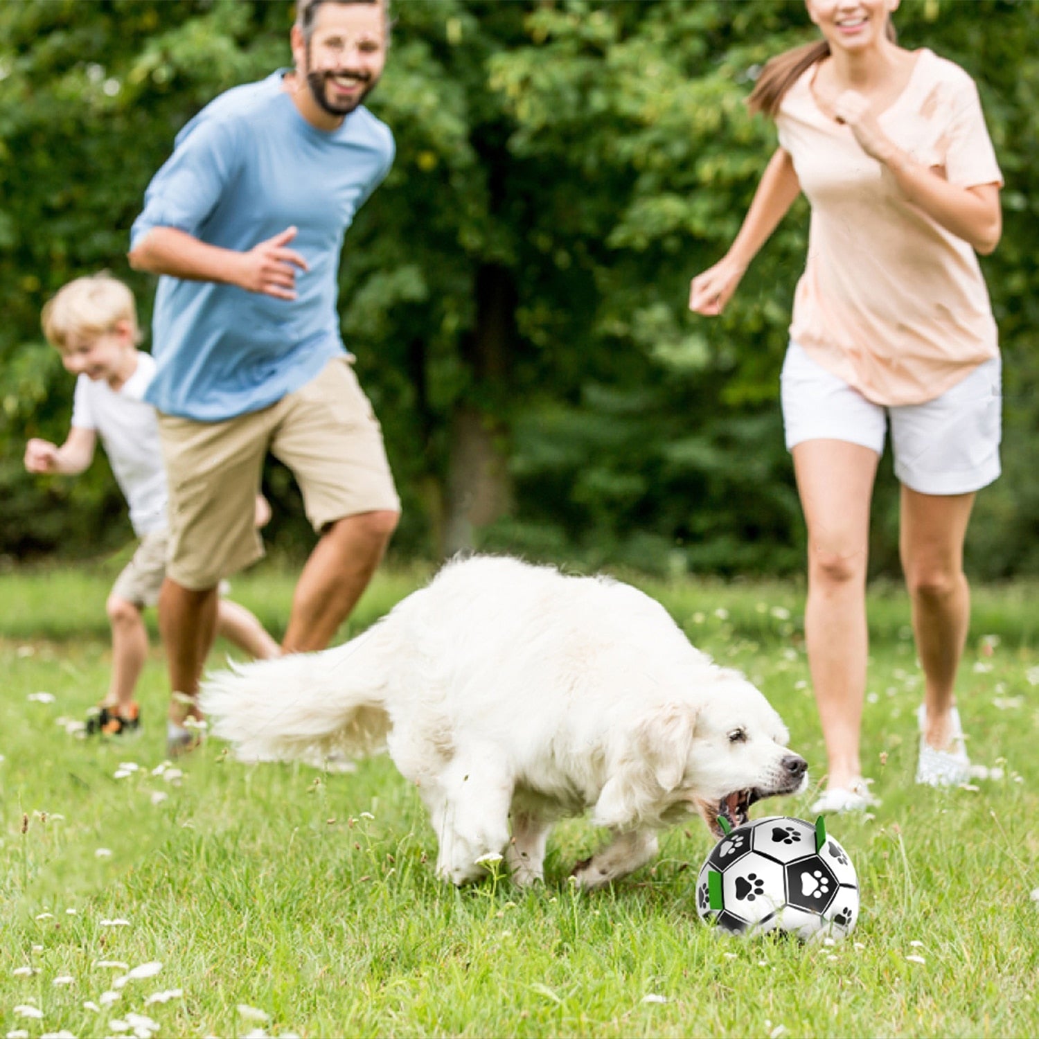 Ballon pour chiens