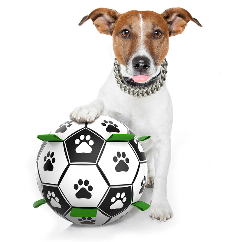 Ballon pour chiens